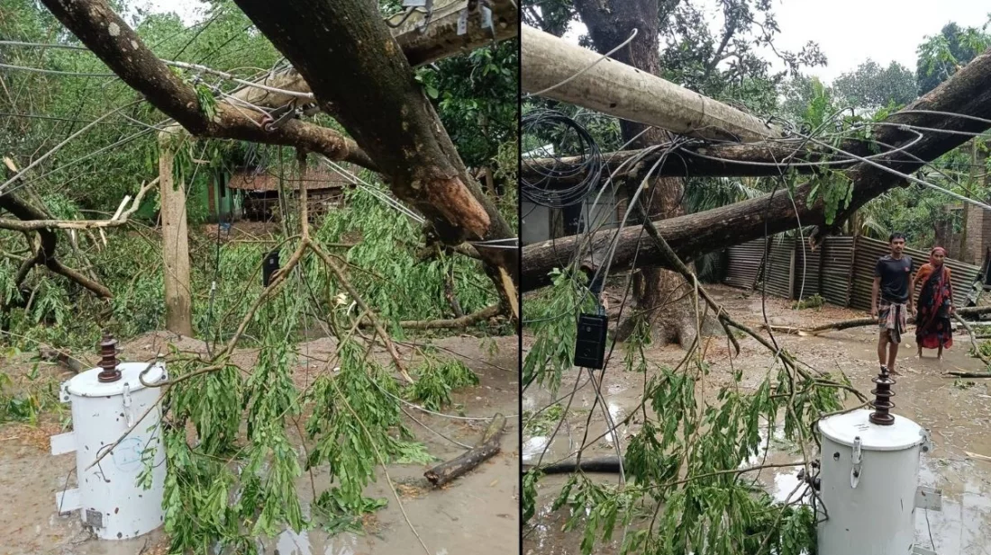 হঠাৎ ঝড়ে লন্ডভন্ড যশোরের বিভিন্ন গ্রাম, নিহত ২