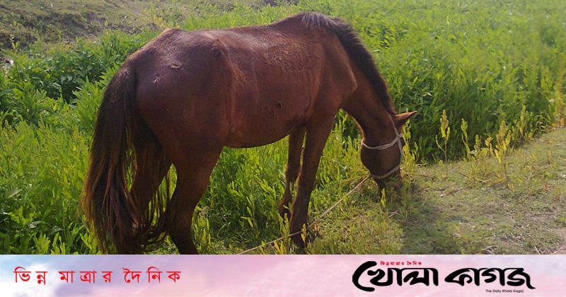 মোটরসাইকেল দুর্ঘটনায় দুই বন্ধু নিহত