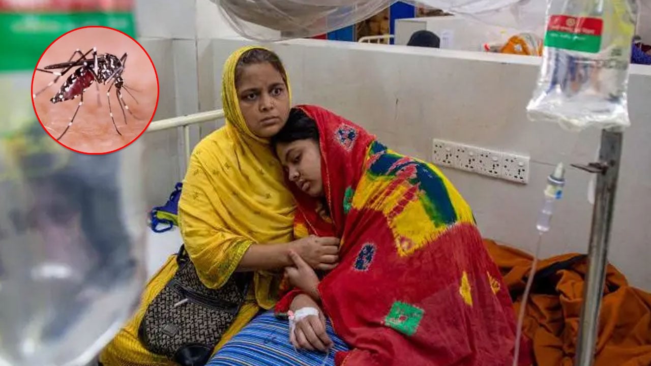 ডেঙ্গুতে একদিনে ১০ মৃত্যু!