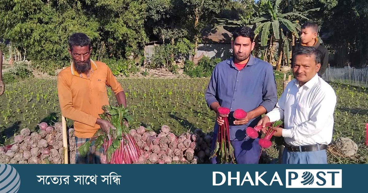 গাছ থেকে পড়ে যুবকের মৃত্যু