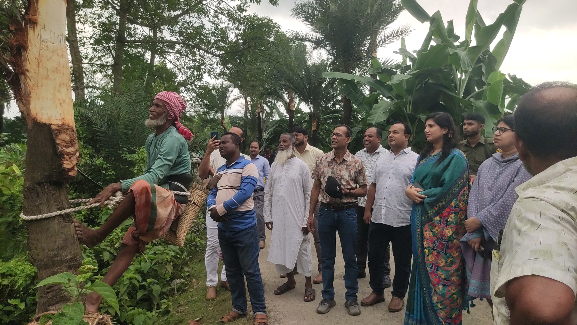 চৌগাছায় জিআই পণ্য খেজুরগুড় সংগ্রহে গাছ কাটা’র উদ্বোধন 