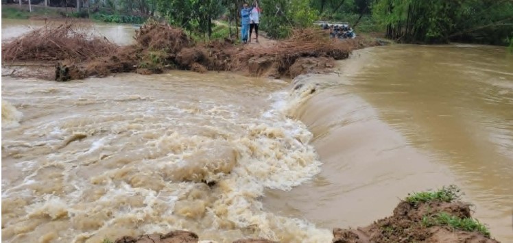 কুলাউড়ায় ফসল রক্ষা বাঁধ ভেঙে ১৫ গ্রাম প্লাবিত