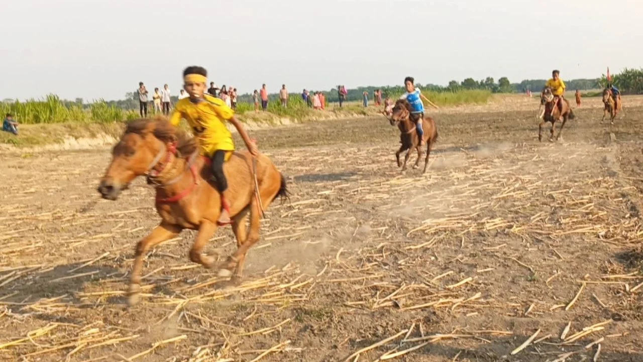 সালথায় ঘোড় দৌড় অনুষ্ঠিত ‍উল্লসিত এলাকাবাসি
