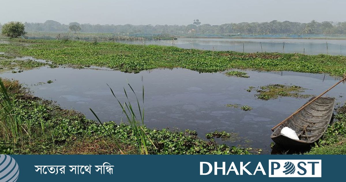 বিল ডাকাতিয়া এখন খুলনার অভিশাপ