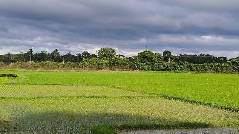আখাউড়া সীমান্তে বিএসএফের হাতে যুবক আটক