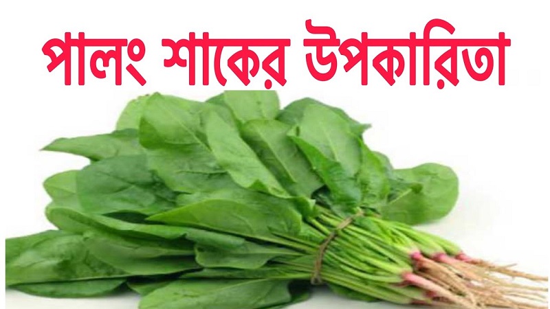 শীতের রোগ মোকাবিলায় পালংশাক