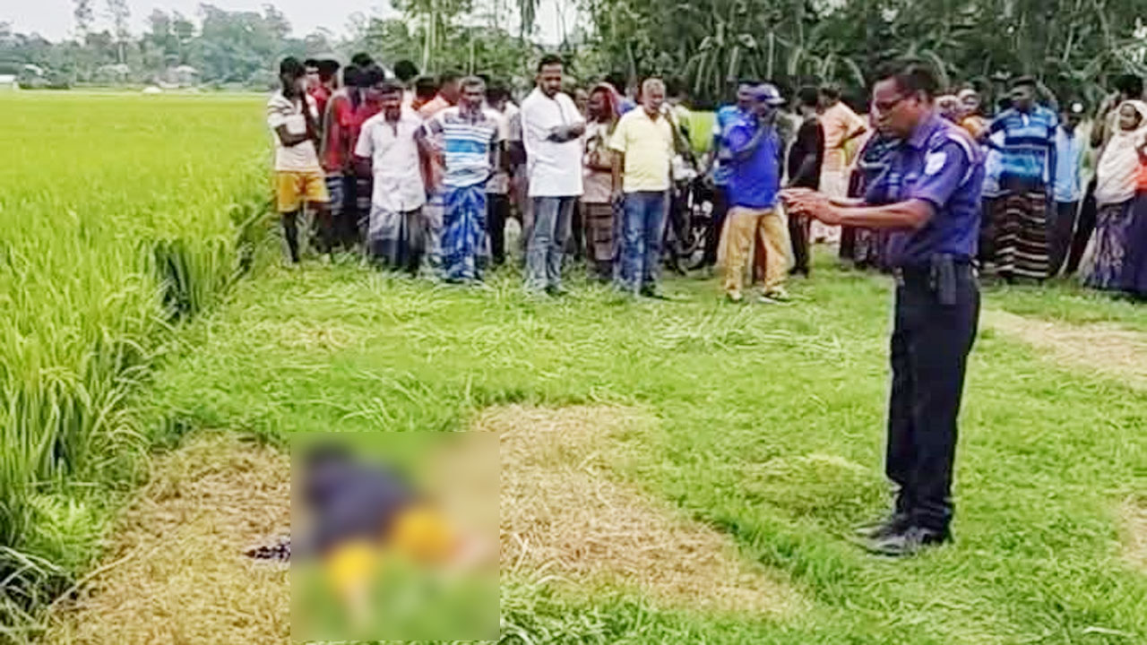 টাঙ্গাইলে ধানক্ষেত থেকে অজ্ঞাত নারীর লাশ উদ্ধার