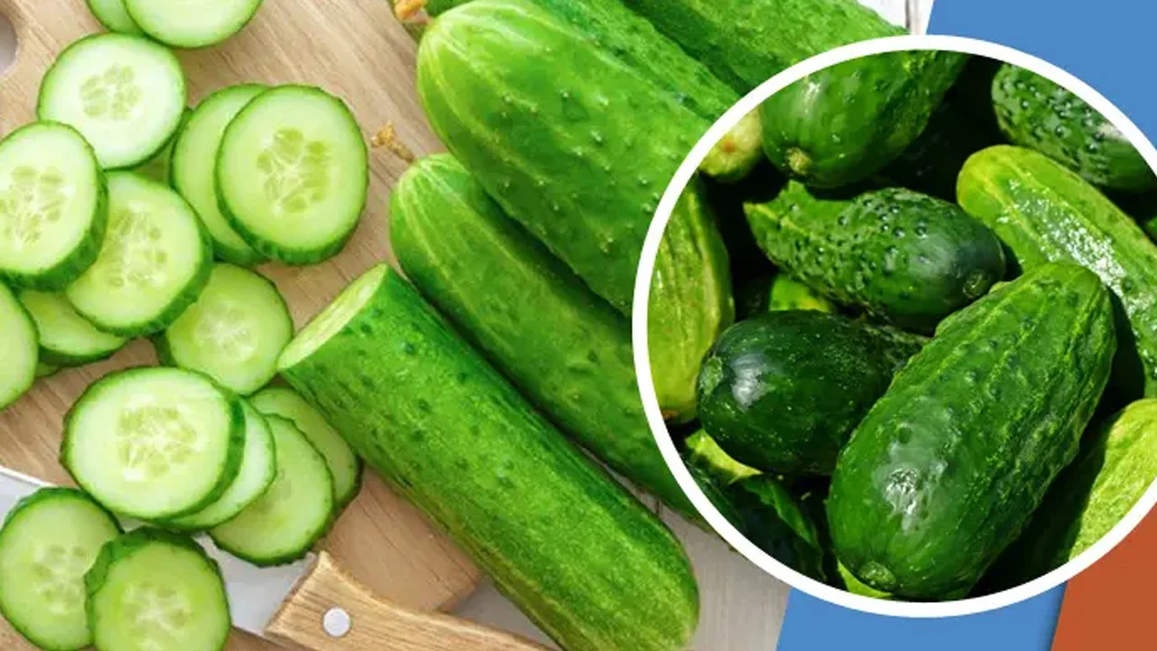 শসা খোসাসহ খাবেন? নাকি ছাড়িয়ে